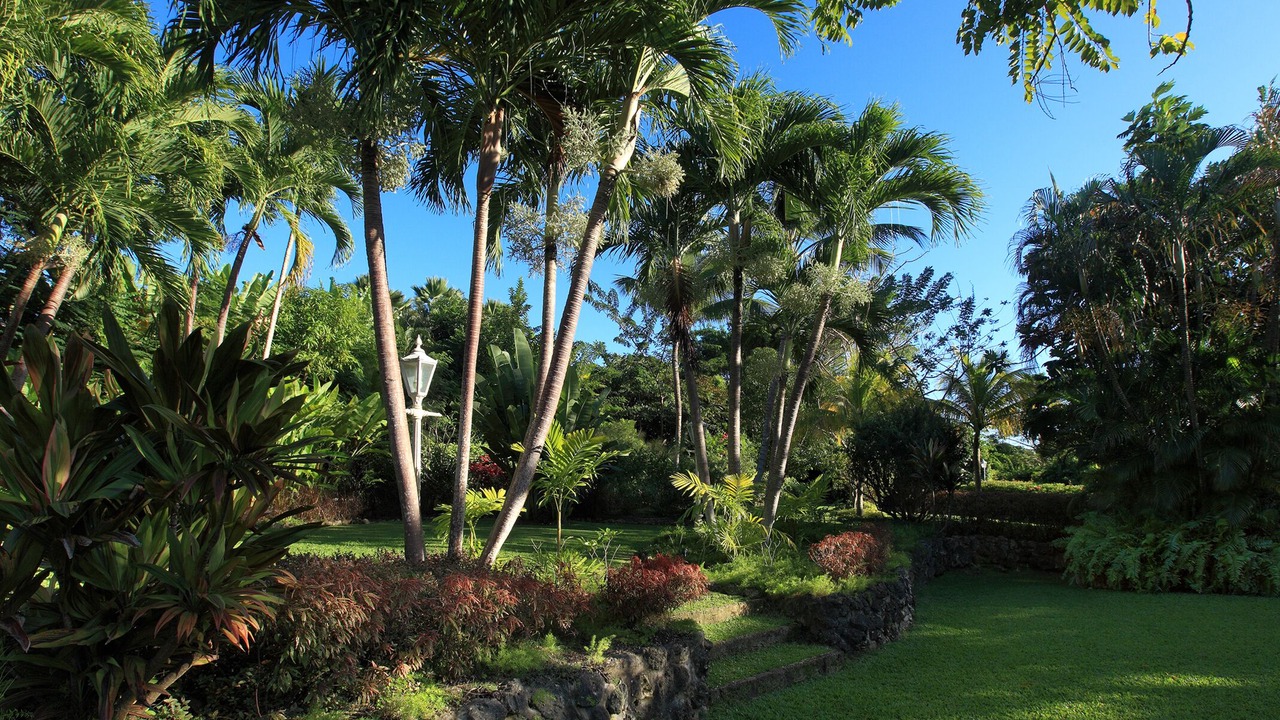 Photo of Outdoor in Holder's Hill
