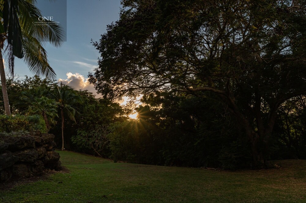 Photo of Outdoor in Molyneux