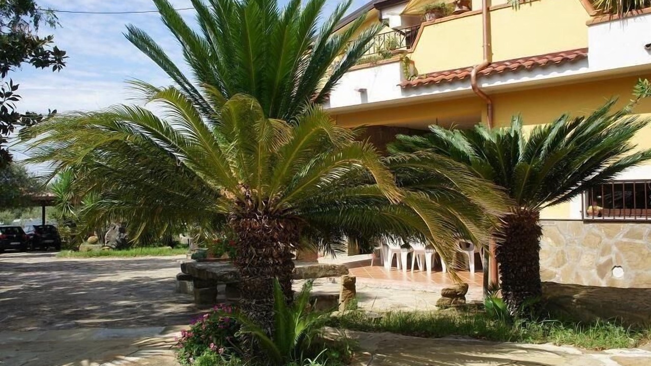 Photo of Outdoor in Alani