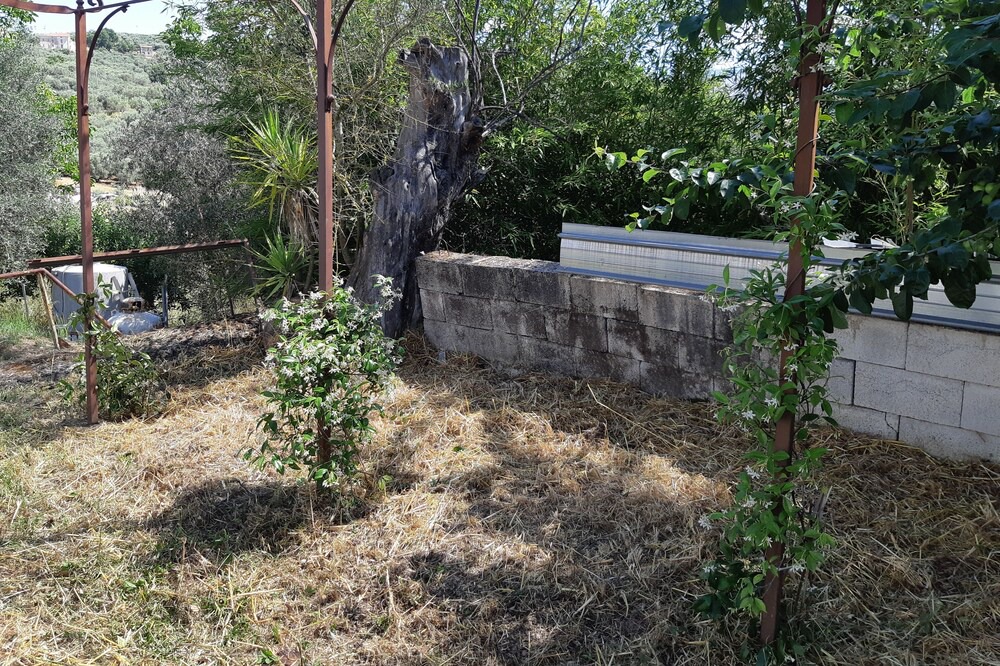Photo of Outdoor in Roccadaspide