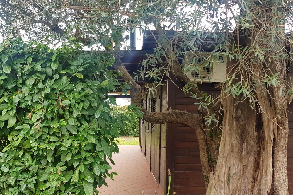 Photo of Outdoor in Sant'Antonio Abate