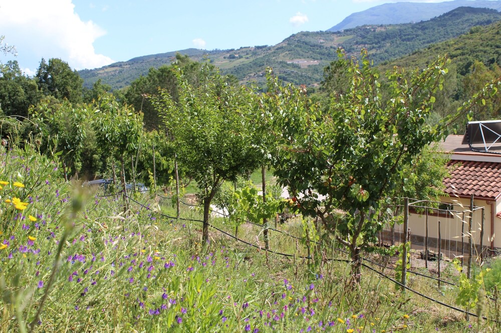 Photo of Outdoor in Cicerale