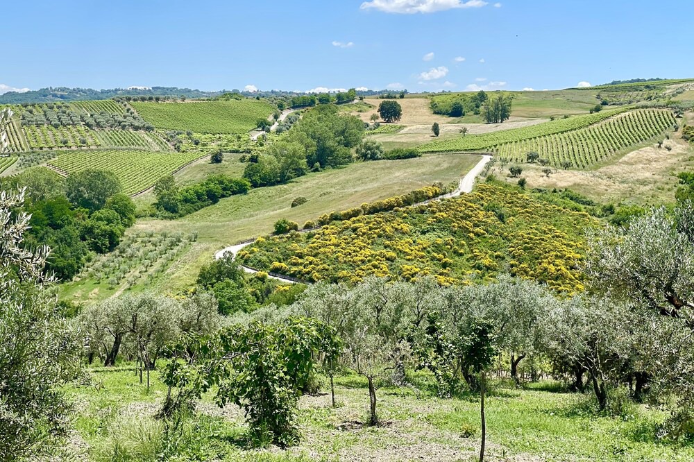 Photo of Outdoor in Paternopoli