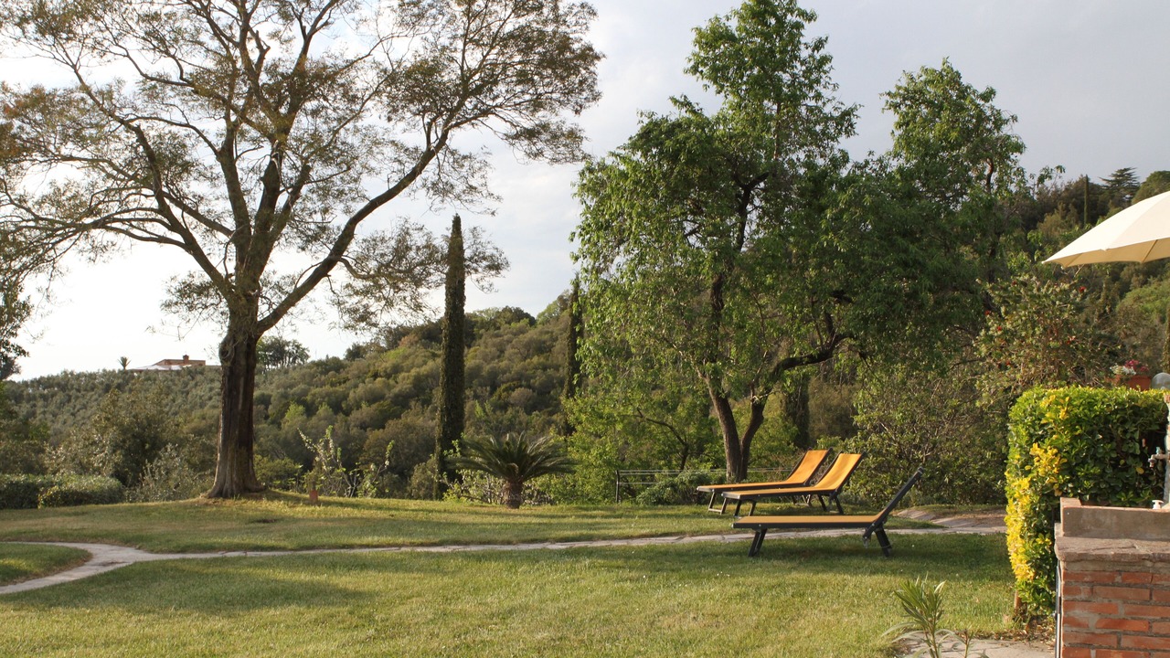Photo of Outdoor in Castagneto Carducci