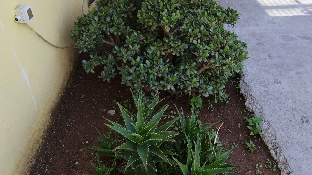 Photo of Outdoor in Pisciotta