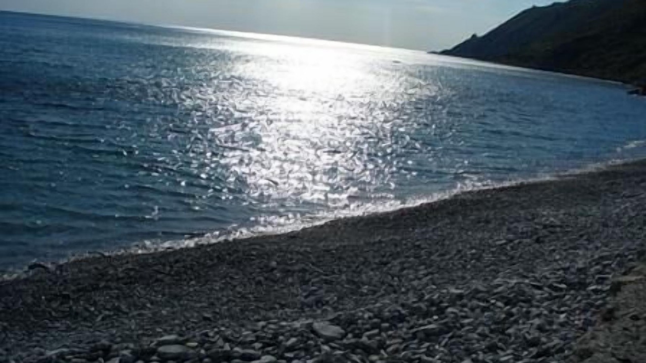 Photo of Others in Marina di Pisciotta