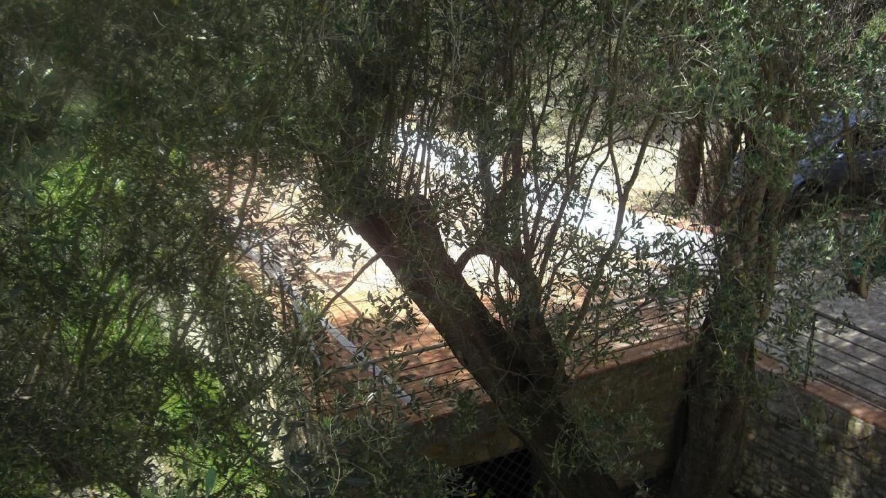 Photo of Outdoor in Marina di Pisciotta