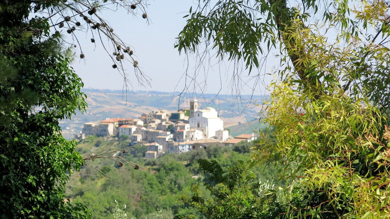 Photo of Others in Selva di Altino