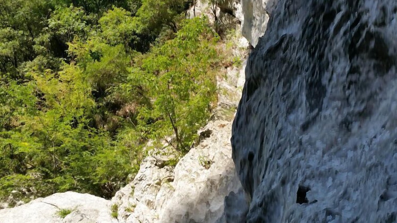 Photo of Others in Albanella