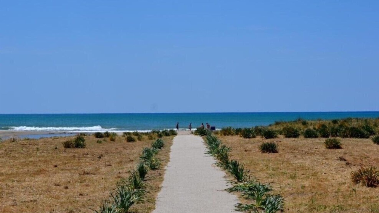 Photo of Others in Paestum