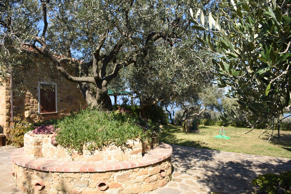Photo of Outdoor in Castellabate