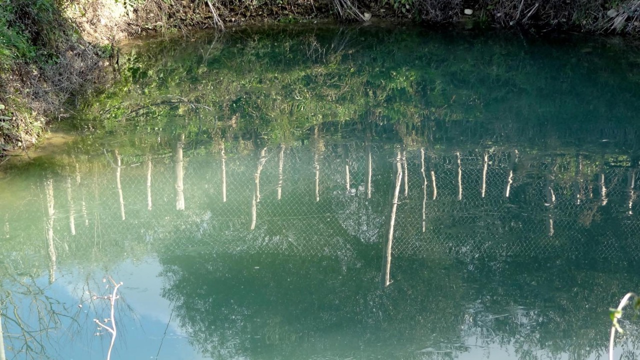 Photo of Outdoor in Felitto