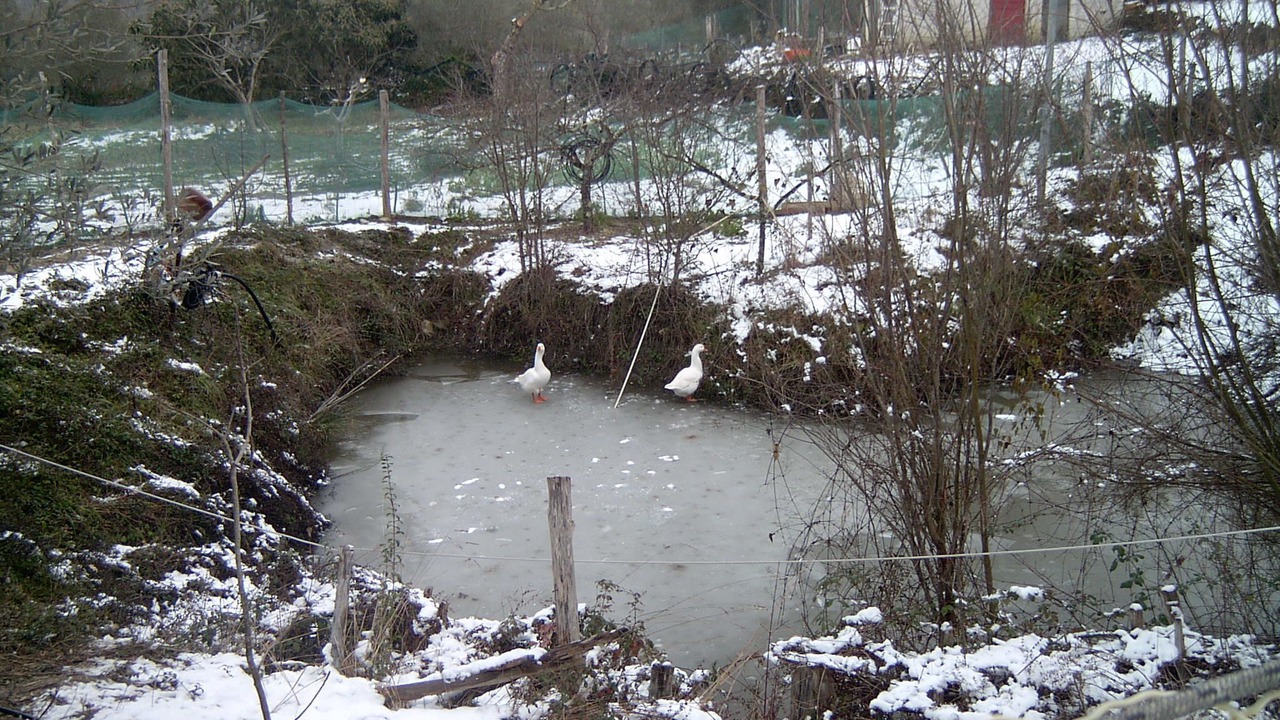 Photo of Outdoor in Felitto