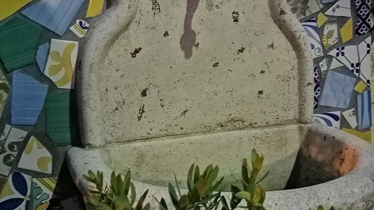 Photo of Others in Salerno