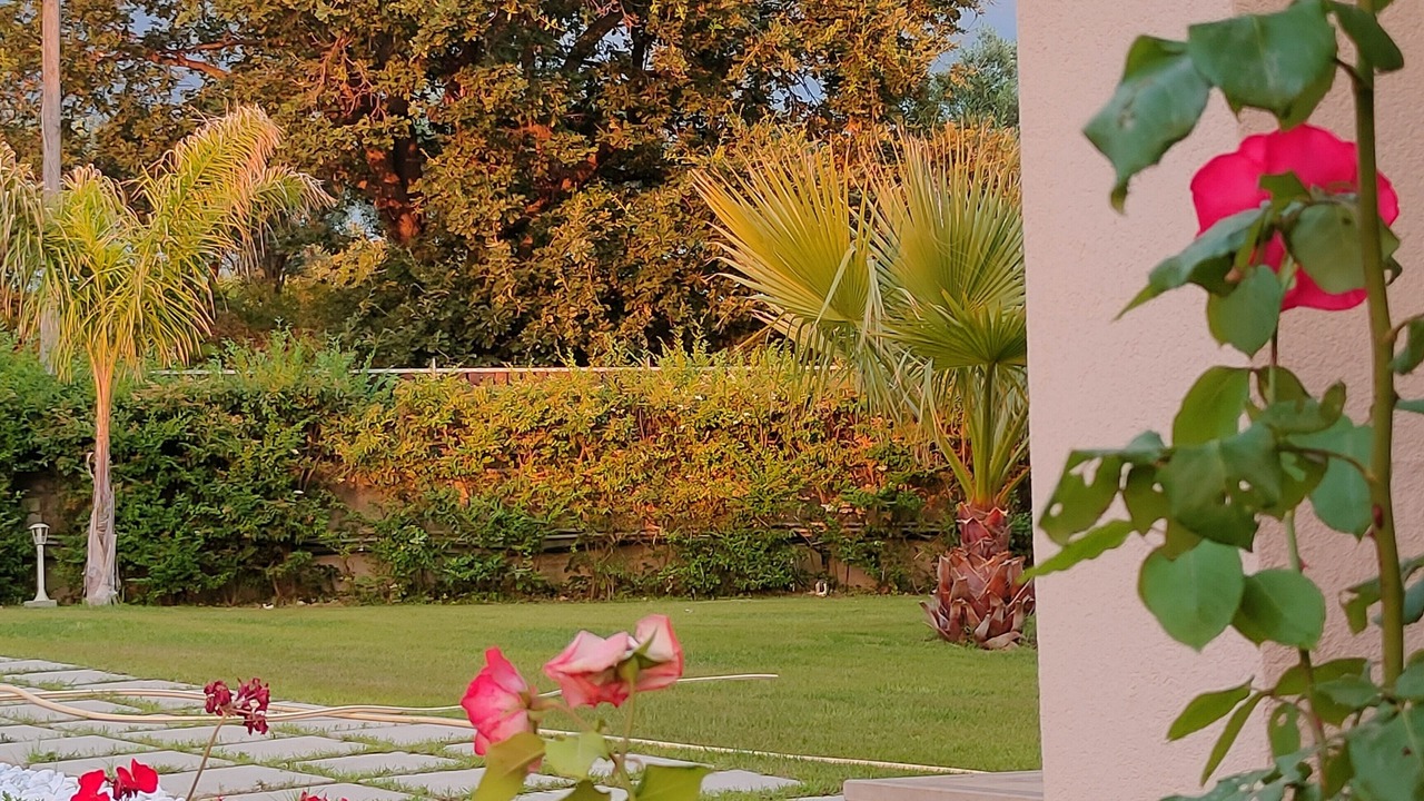 Photo of Outdoor in Santa Maria di Castellabate