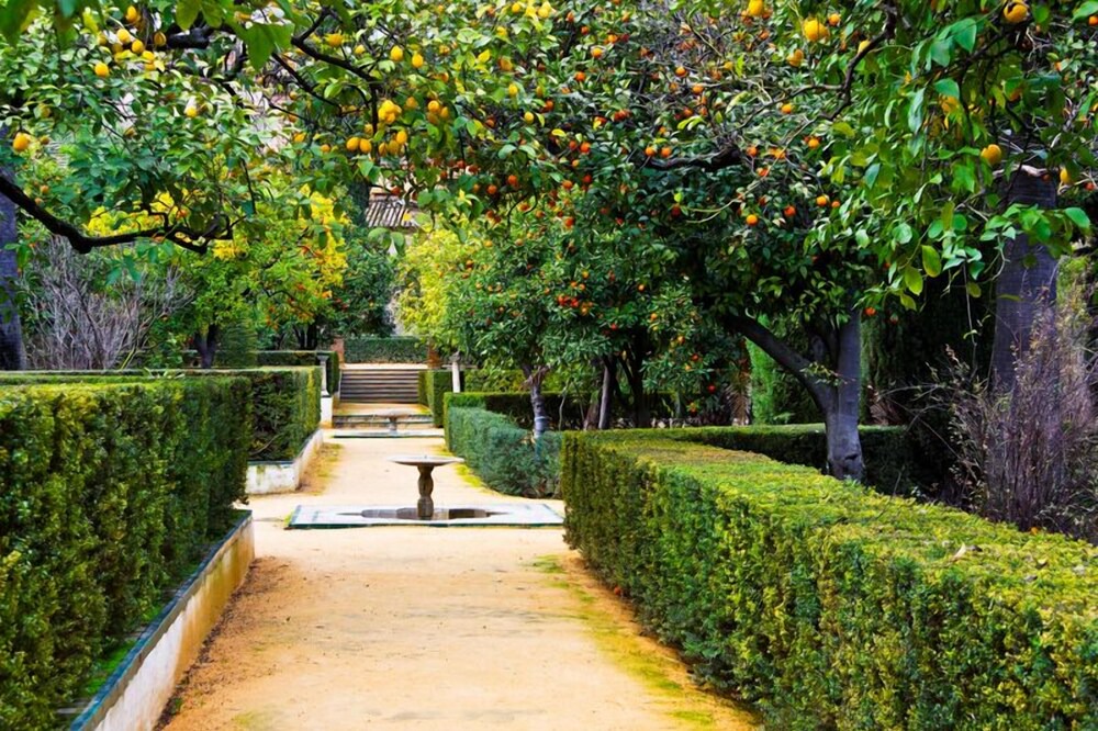 Photo of Outdoor in Nerano