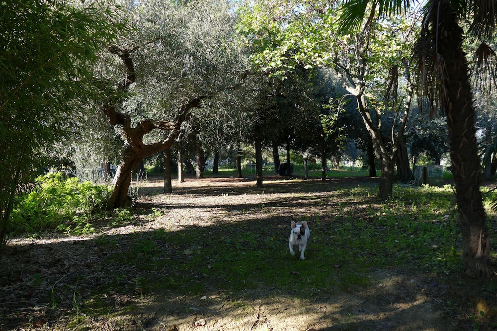 Photo of Outdoor in Cugnoli