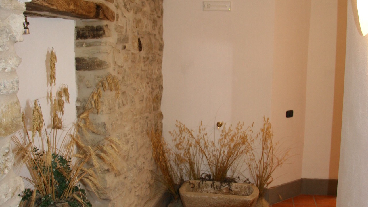 Photo of Outdoor in Castellabate Historic Centre
