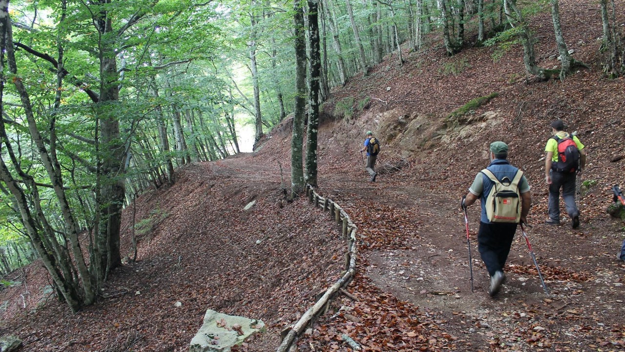 Photo of Outdoor in Trentinara
