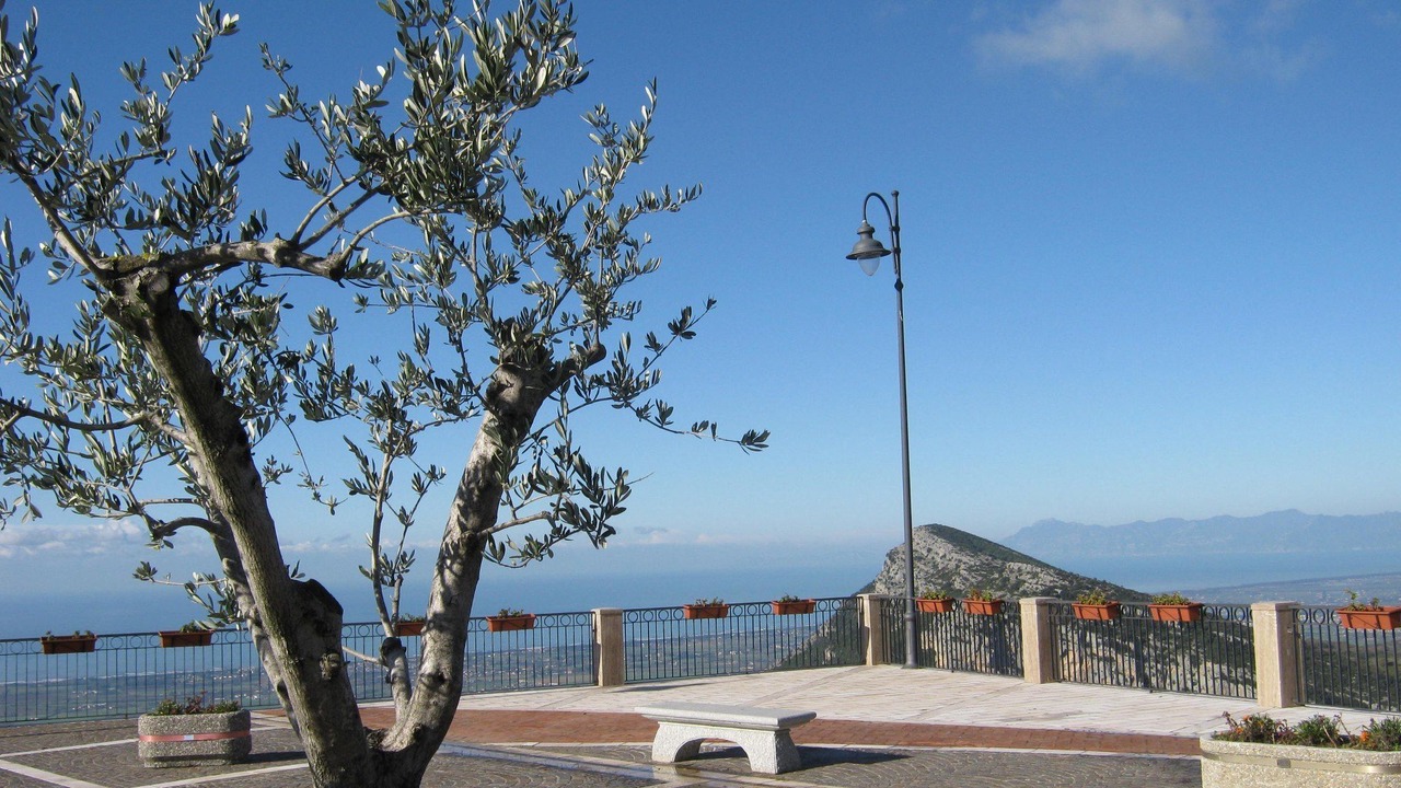 Photo of Others in Trentinara