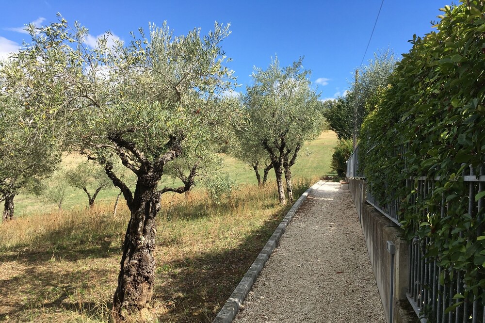 Photo of Outdoor in Tolentino