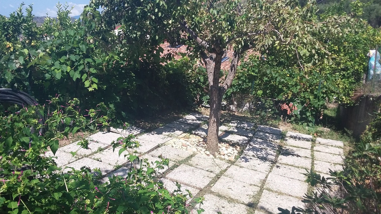 Photo of Outdoor in Marina di Pisciotta