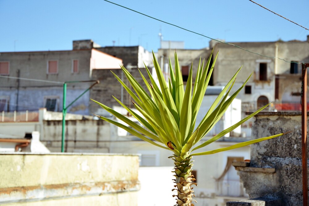 Photo of Outdoor in Canosa di Puglia