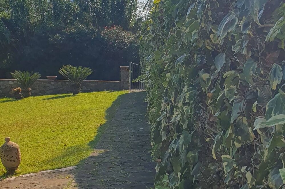 Photo of Outdoor in Castellabate