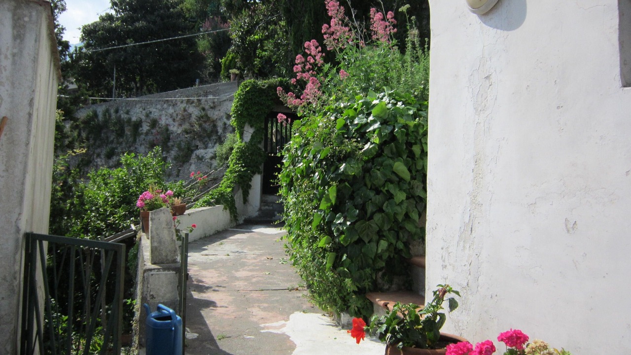 Photo of Outdoor in Raito