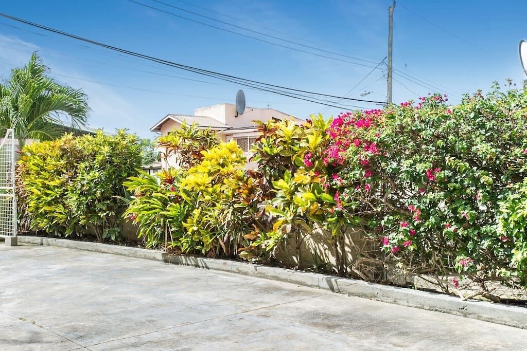 Photo of Outdoor in Oistins