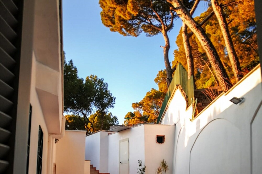 Photo of Outdoor in San Marco di Castellabate