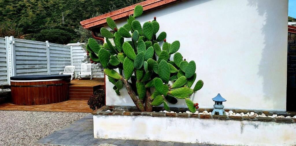 Photo of Patio Balcony in Acciaroli
