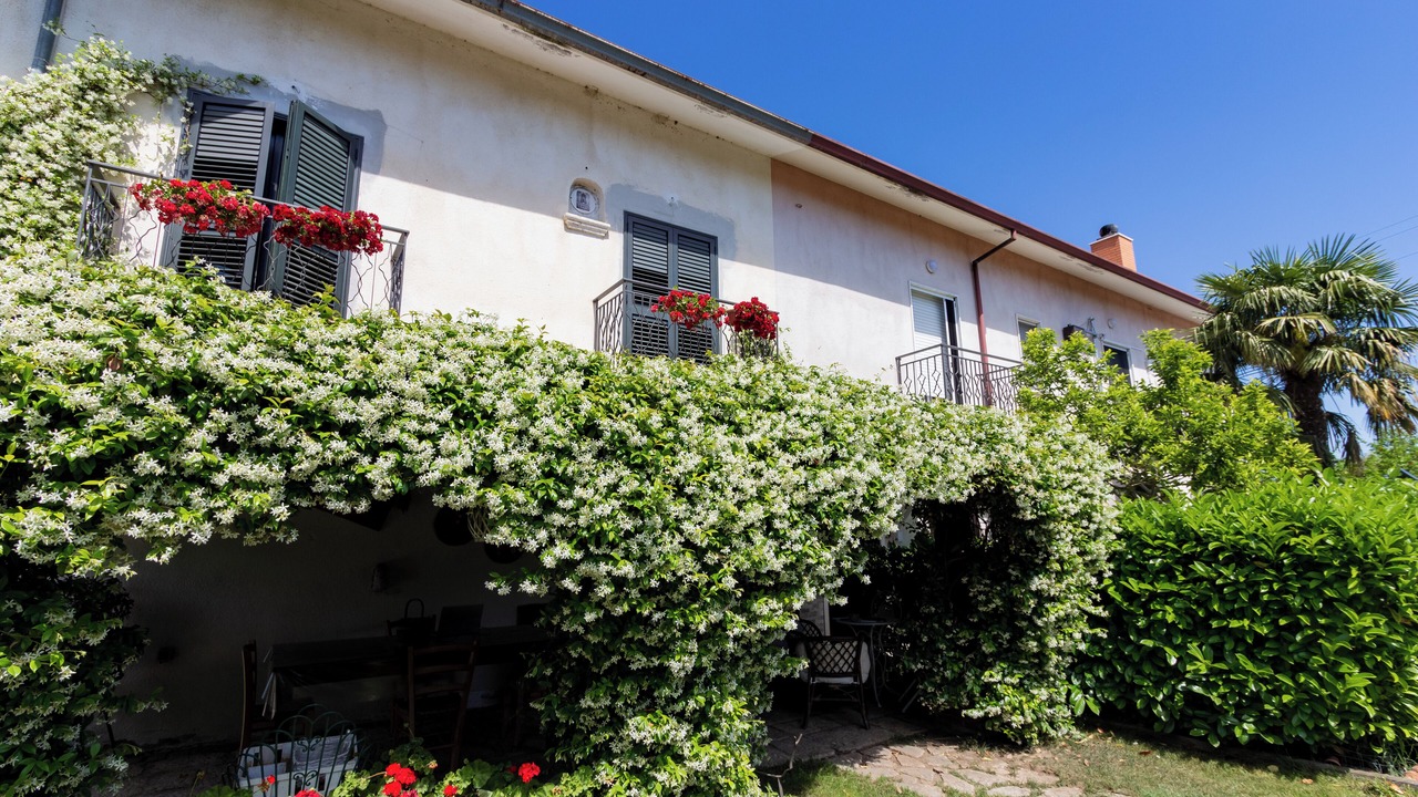 Photo of Outdoor in Lioni