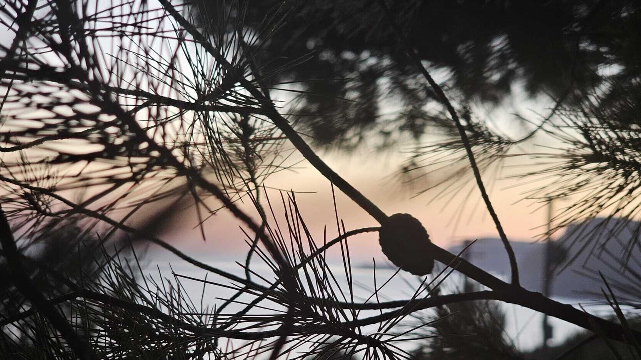 Photo of Others in San Mauro Cilento