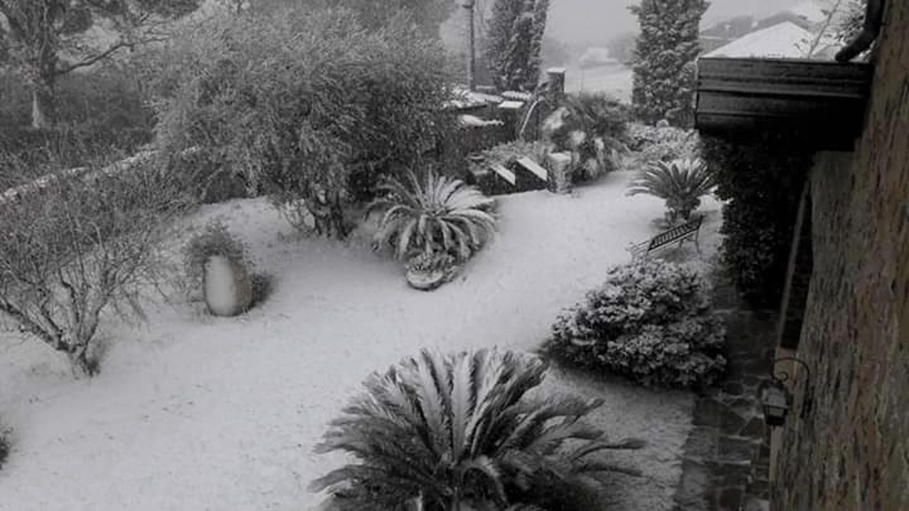 Photo of Outdoor in Serre