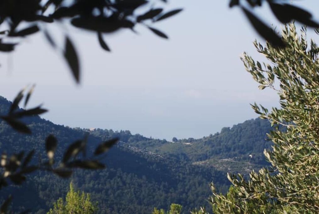 Photo of Outdoor in Tortorella
