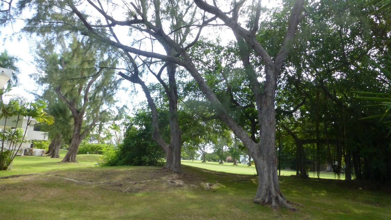 Photo of Outdoor in Rockley