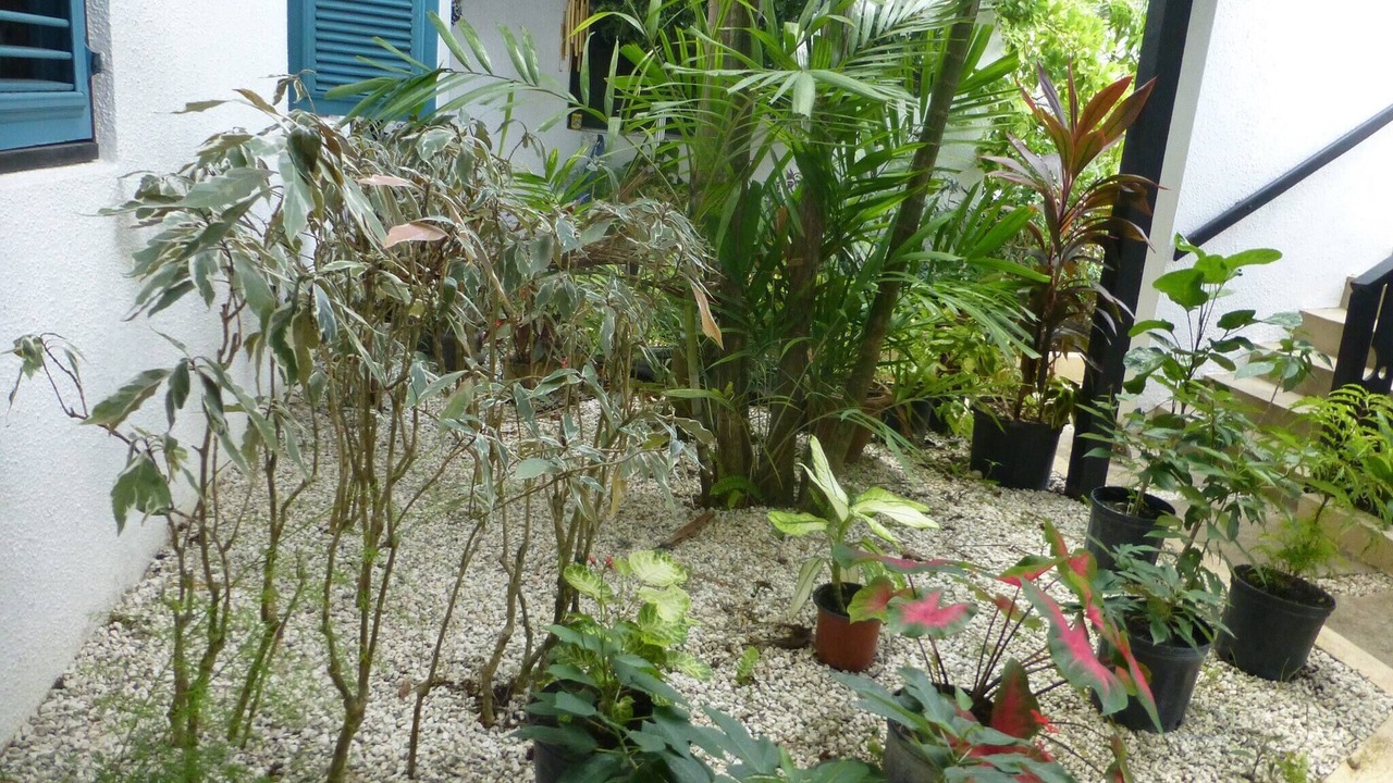 Photo of Outdoor in Rockley