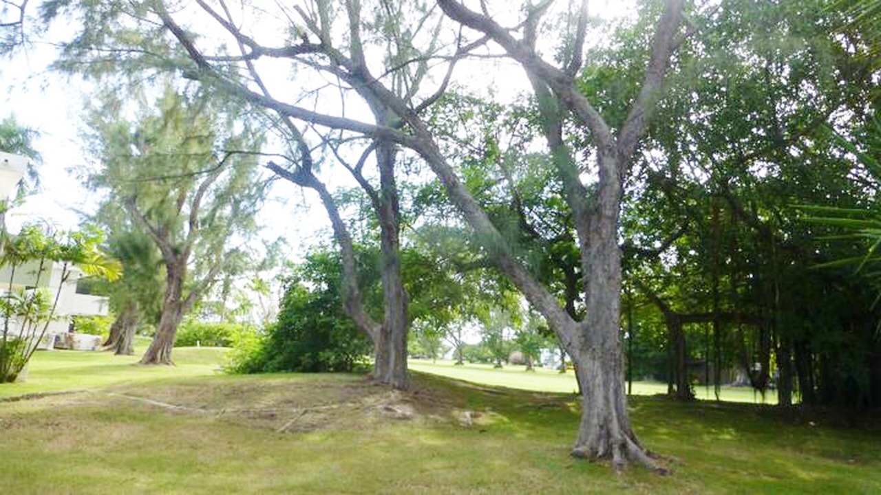 Photo of Outdoor in Rockley