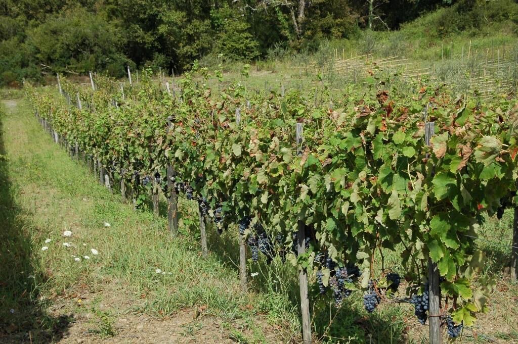 Photo of Outdoor in San Severino