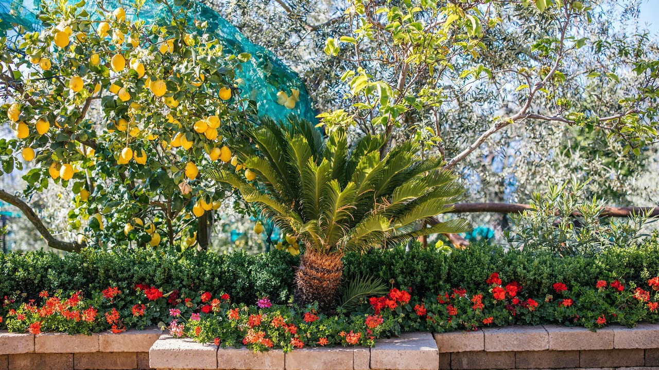 Photo of Outdoor in Priora