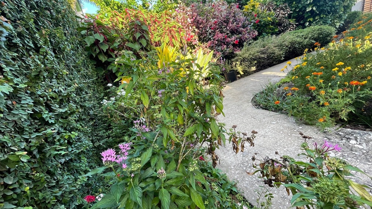 Photo of Outdoor in Newton Terrace