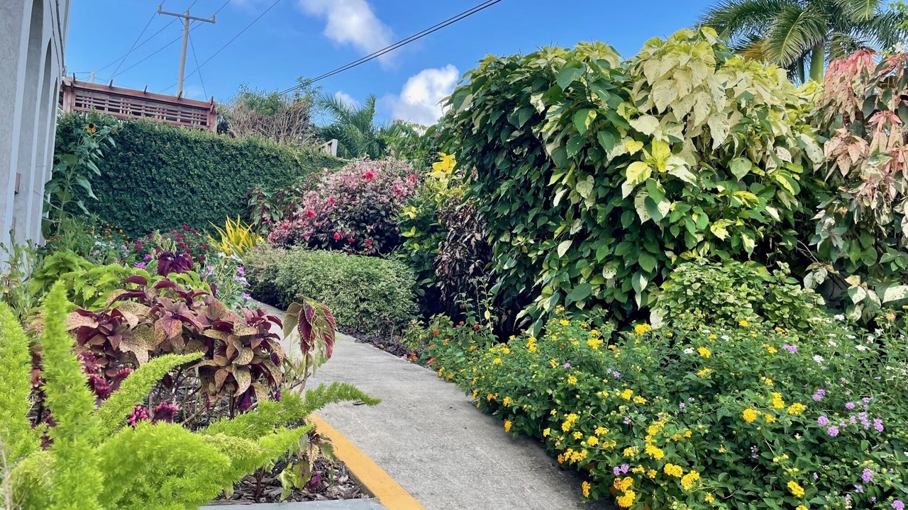 Photo of Outdoor in Newton Terrace