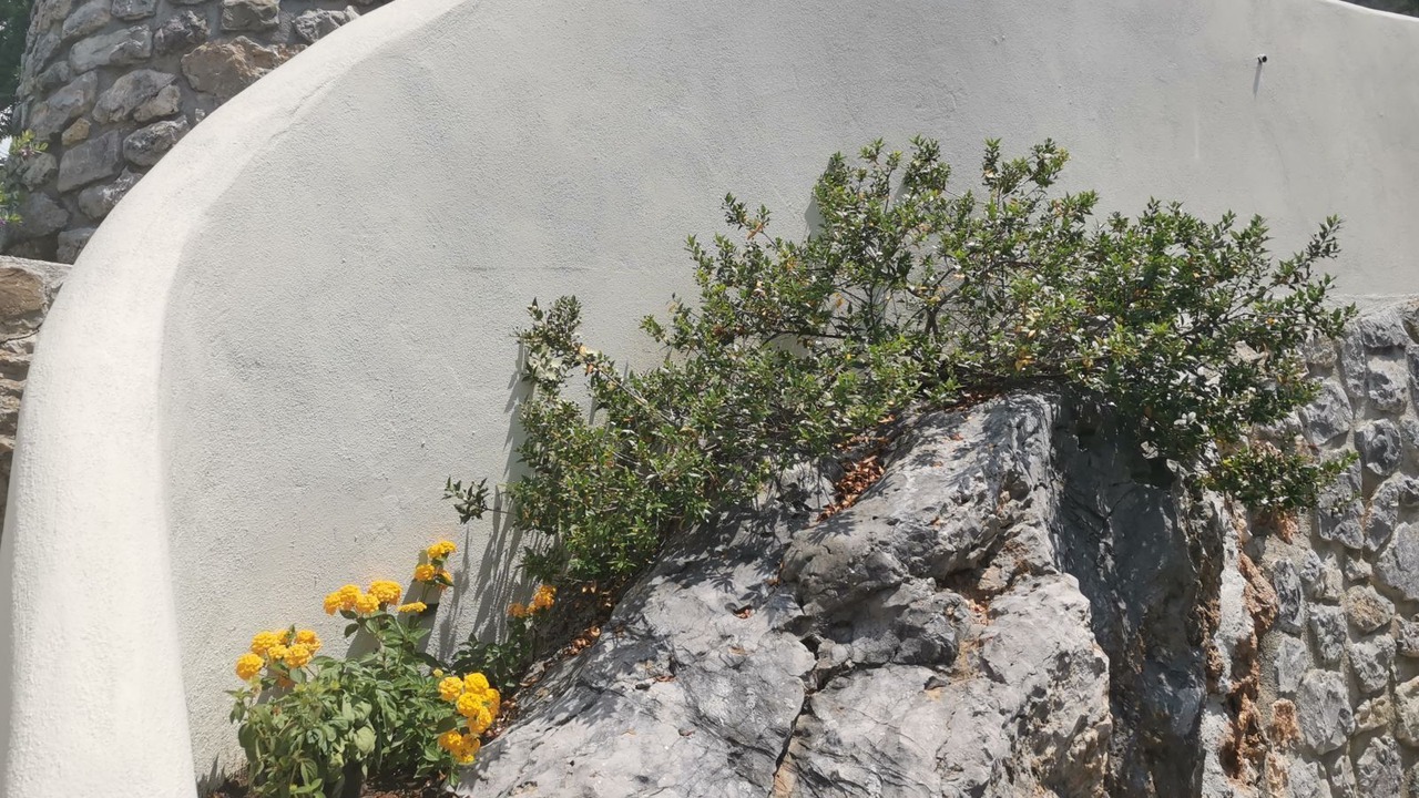 Photo of Outdoor in Villammare
