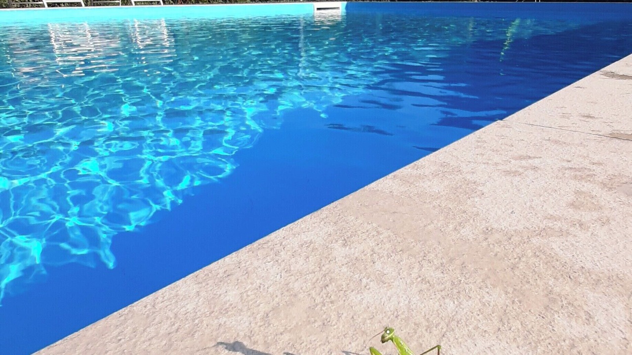Photo of Outdoor in Vallo Scalo