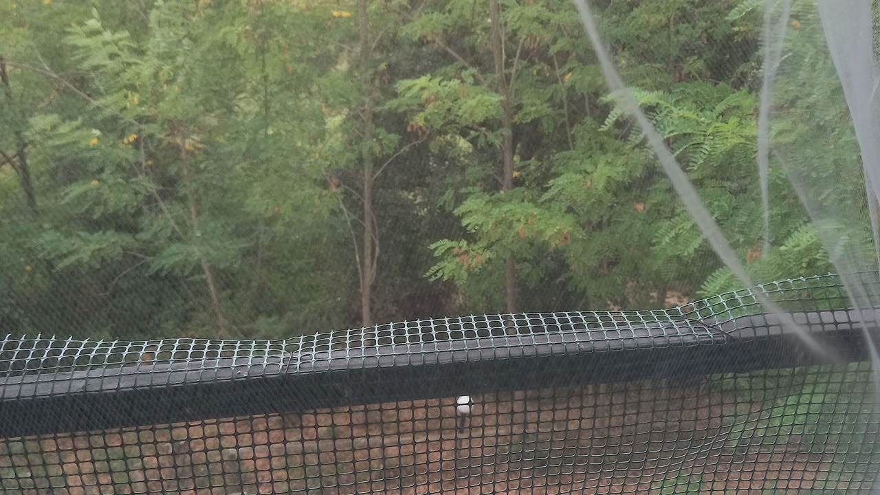 Photo of Outdoor in Tortorella