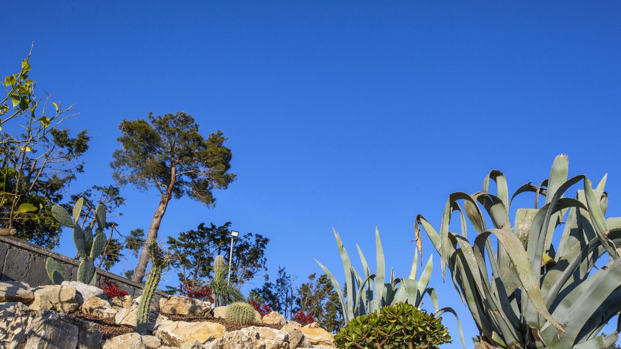 Photo of Outdoor in Massa Lubrense