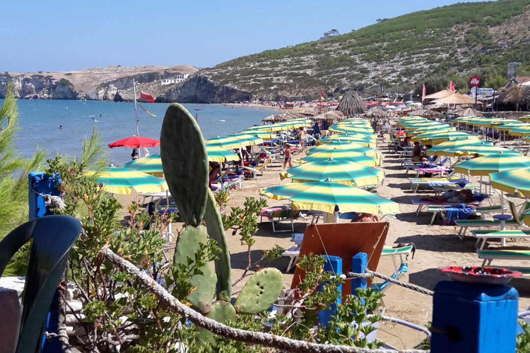Photo of Others in Peschici