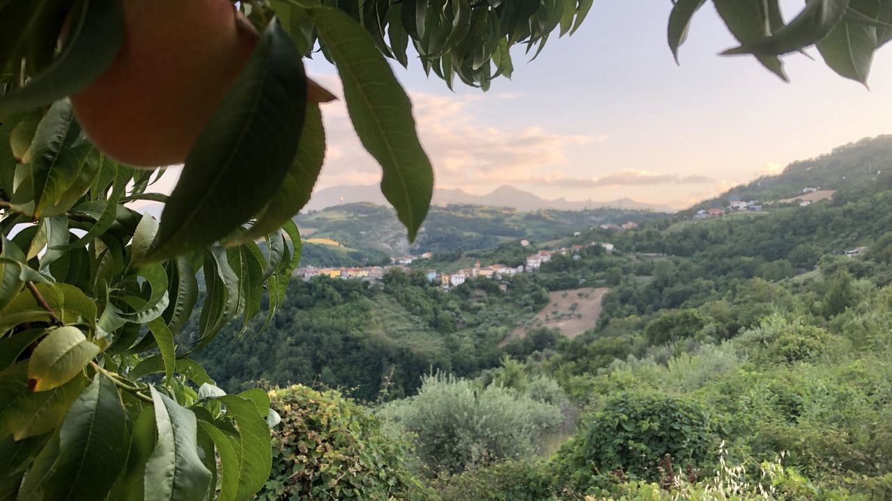 Photo of Outdoor in Cermignano