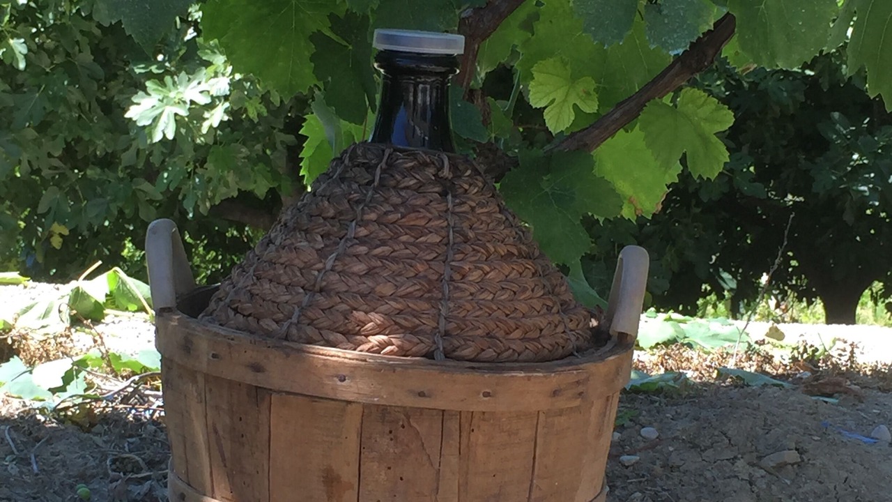 Photo of Outdoor in Cermignano
